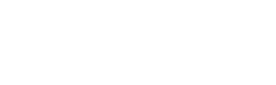 Florin Partners AB logotyp